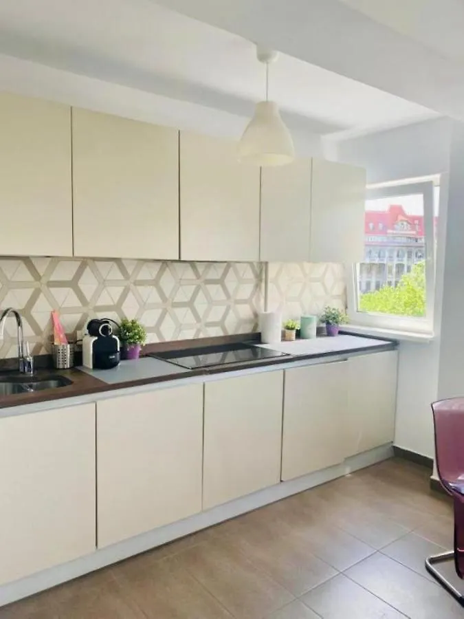 Cismigiu Park Central Town Apartment 布加勒斯特